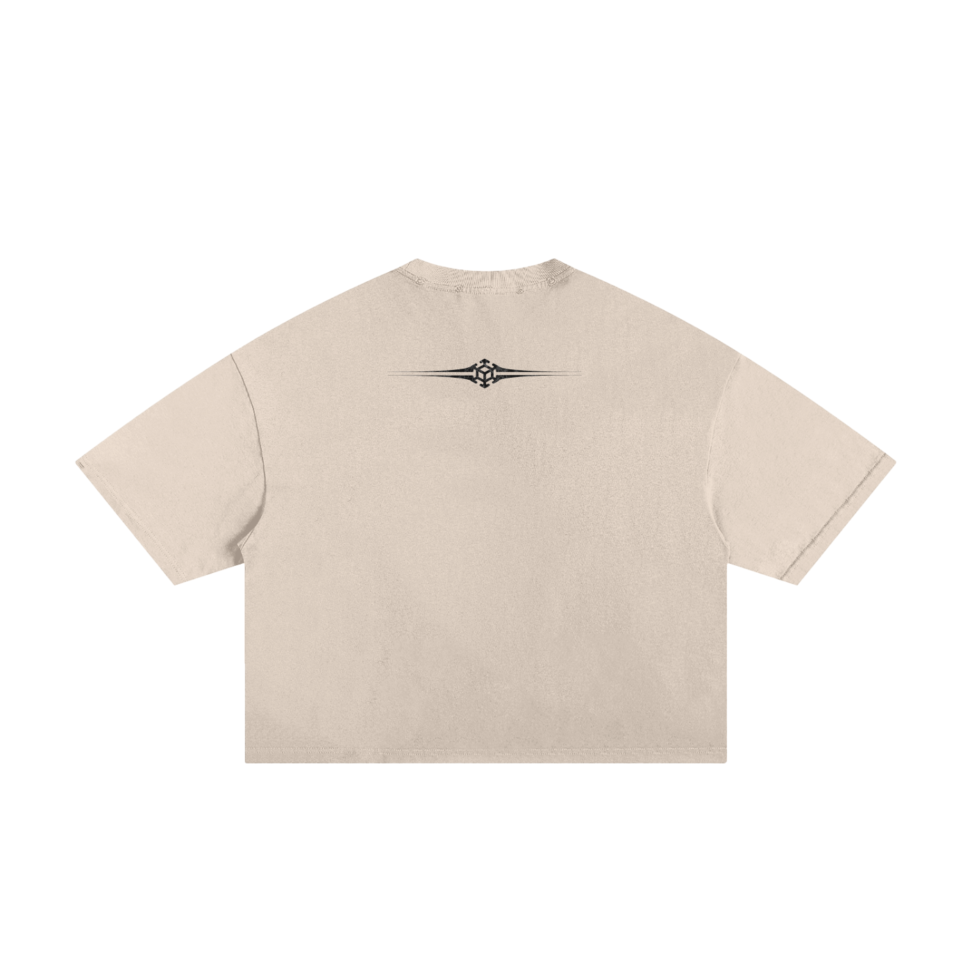 Stripes, frayed boxy tee